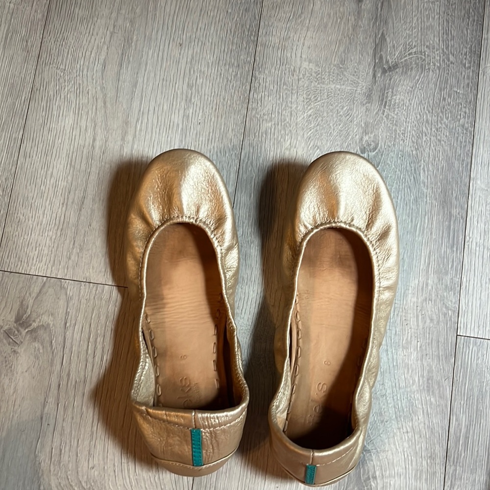 Tieks shoes